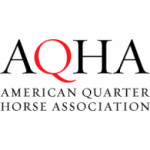 American Quarter Horse Association - AQHA Horse Show