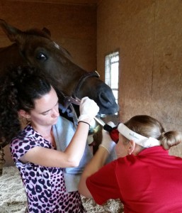 dental-2