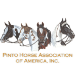 Pinto-Horse-Association