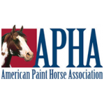 american-paint-horse-association